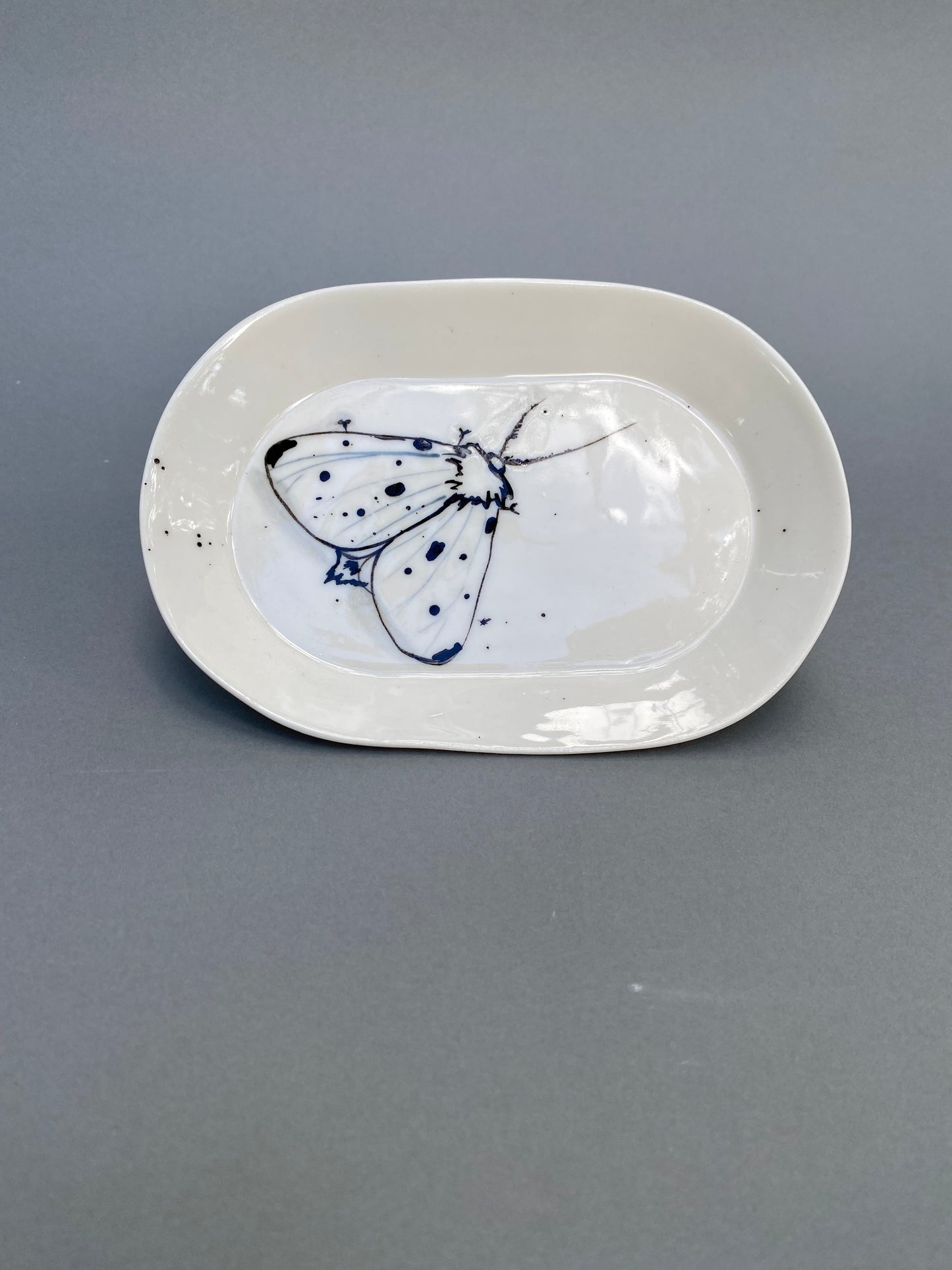 Small oval plate with Moth
