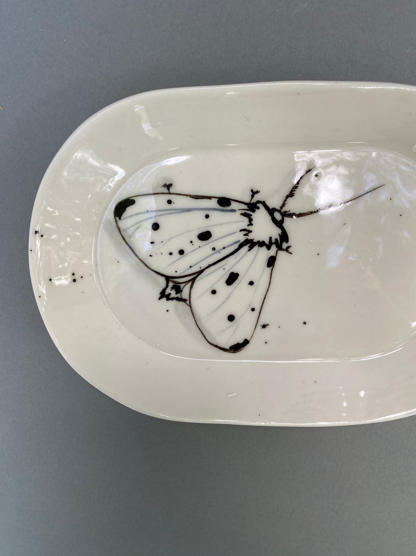 Small oval plate with Moth