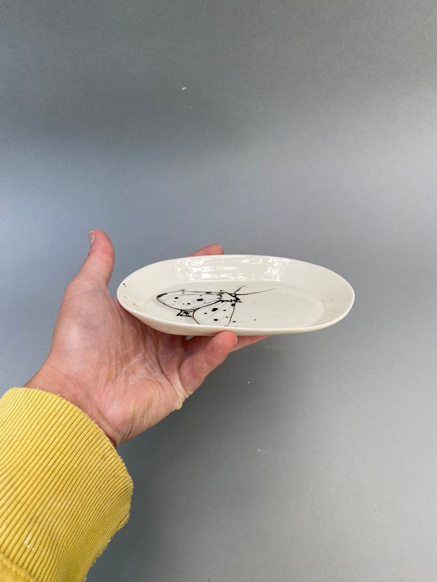 Small oval plate with Moth