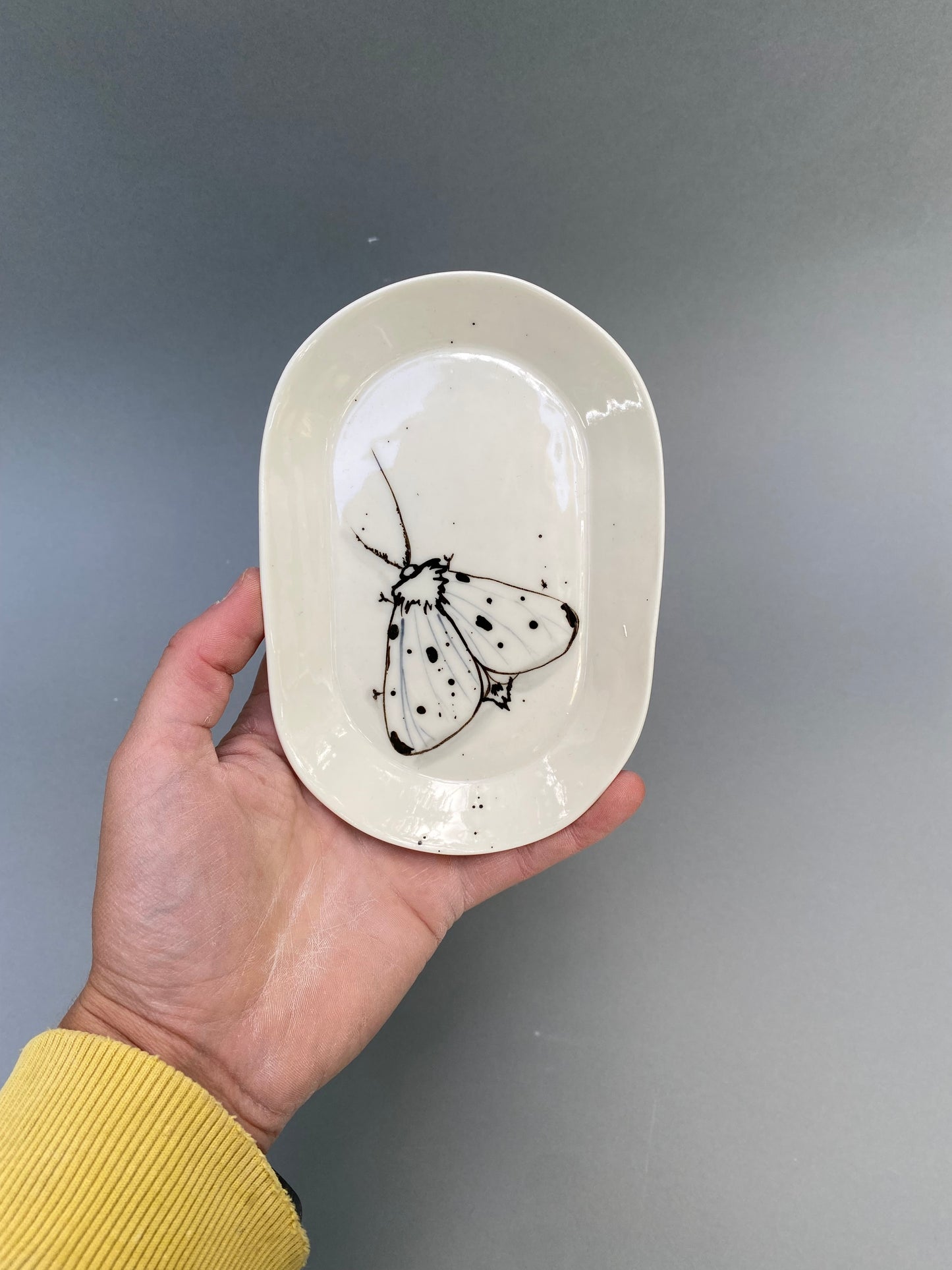 Small oval plate with Moth