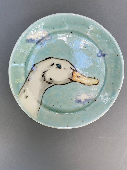 Duck and clouds