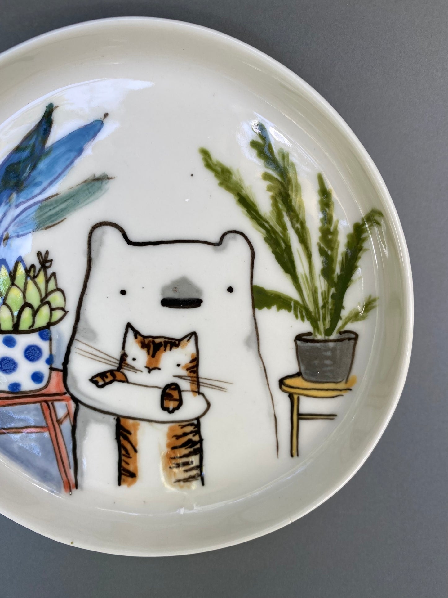 Bear and a tiger cat