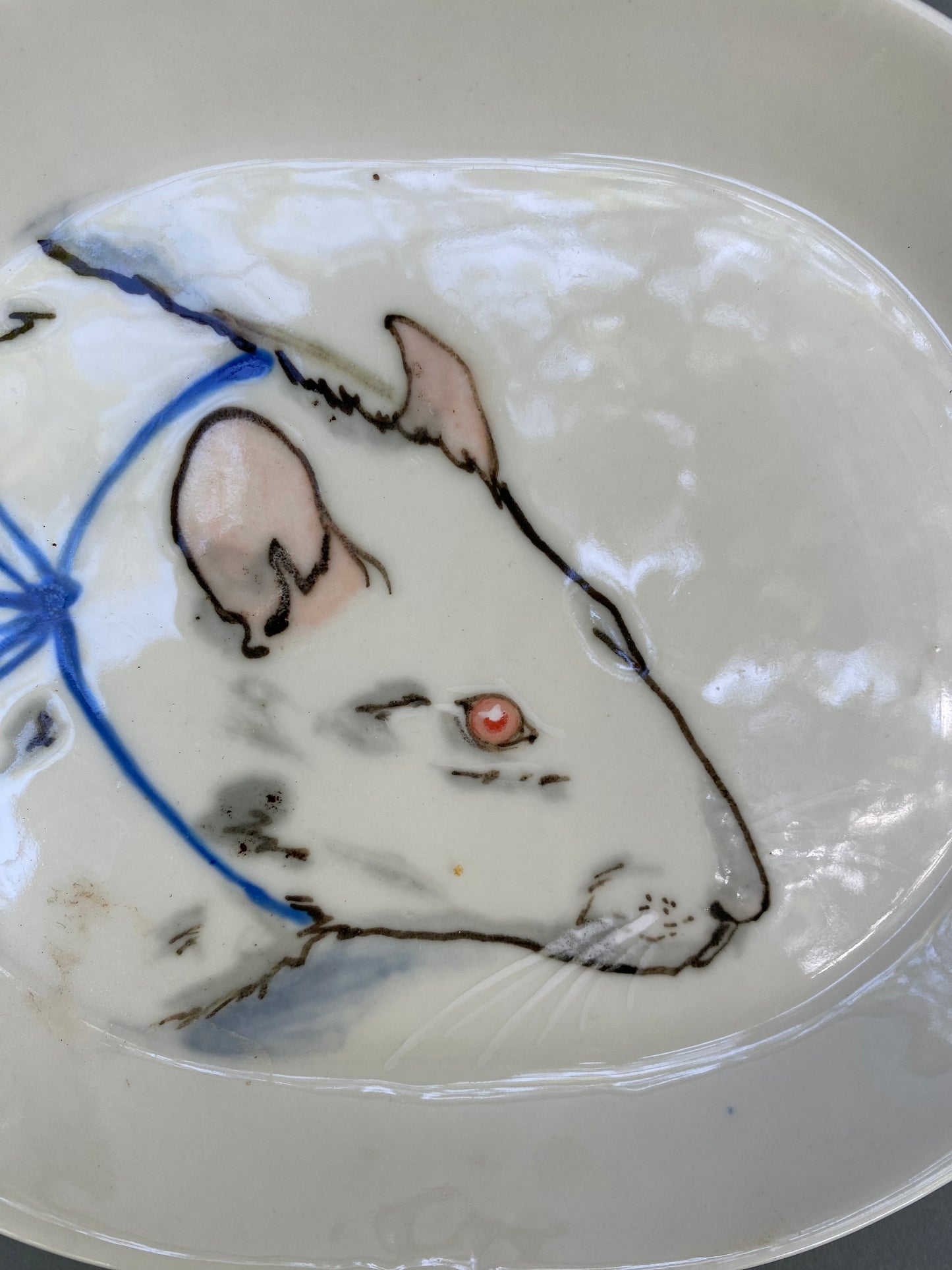 white rat