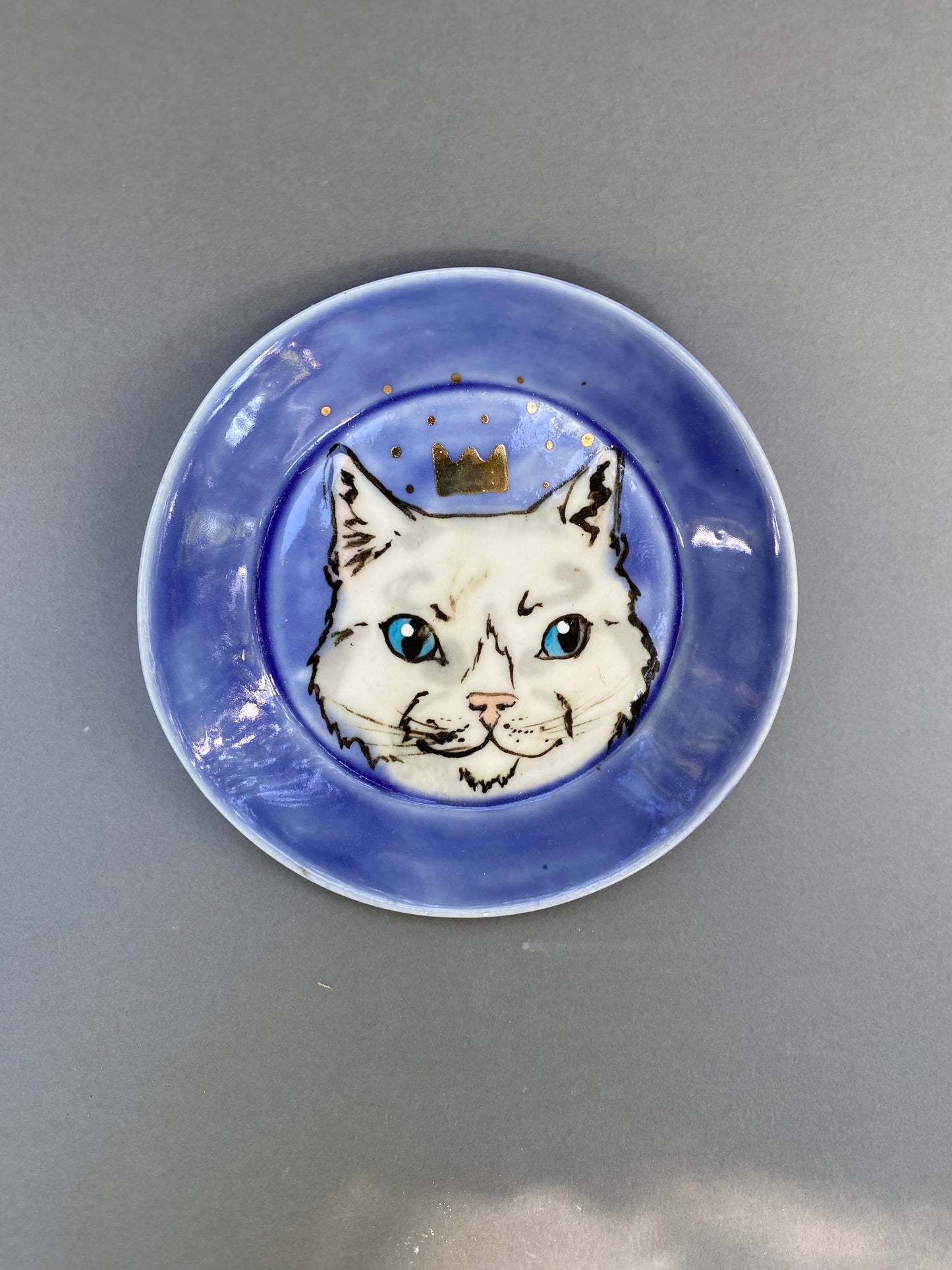 Blue eyed cat king