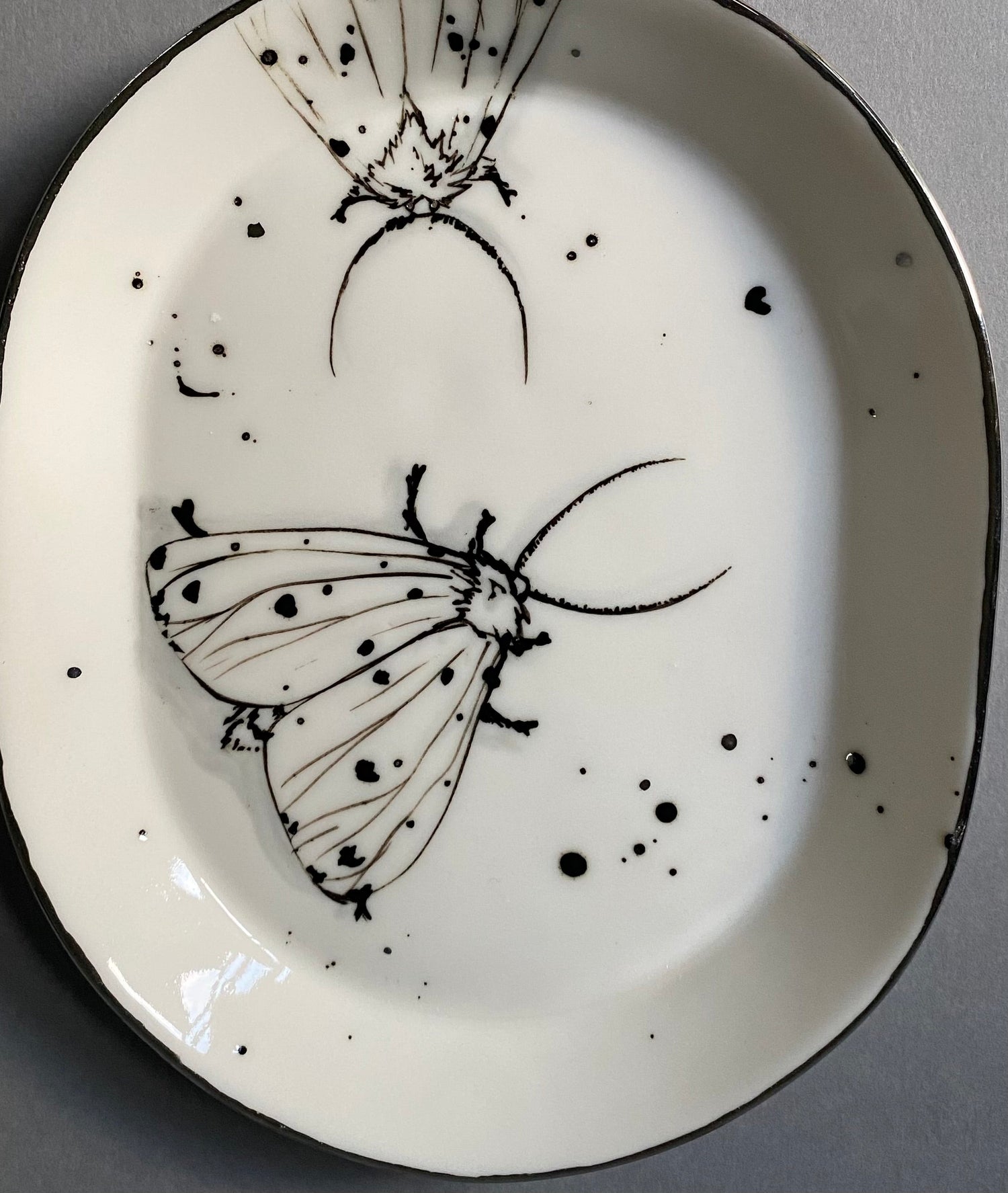 MOTHS