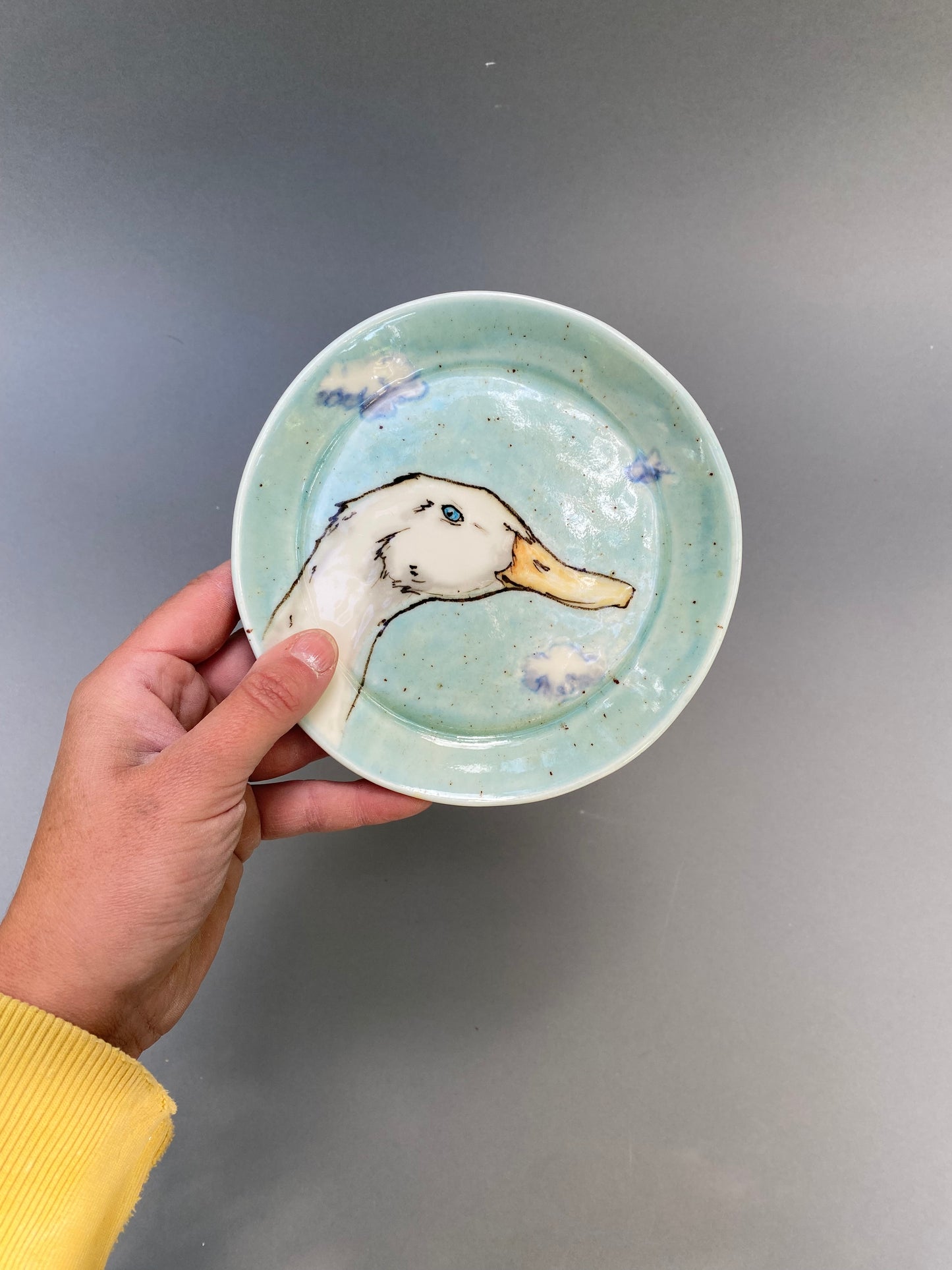 Duck and clouds
