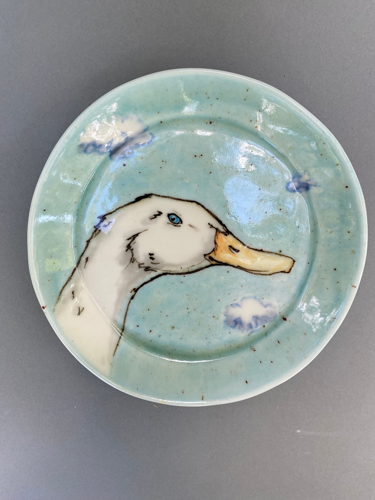 Duck and clouds