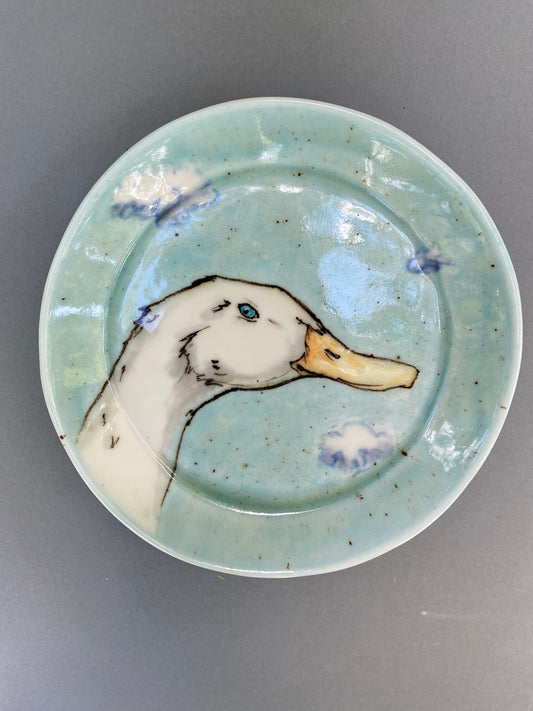 Duck and clouds