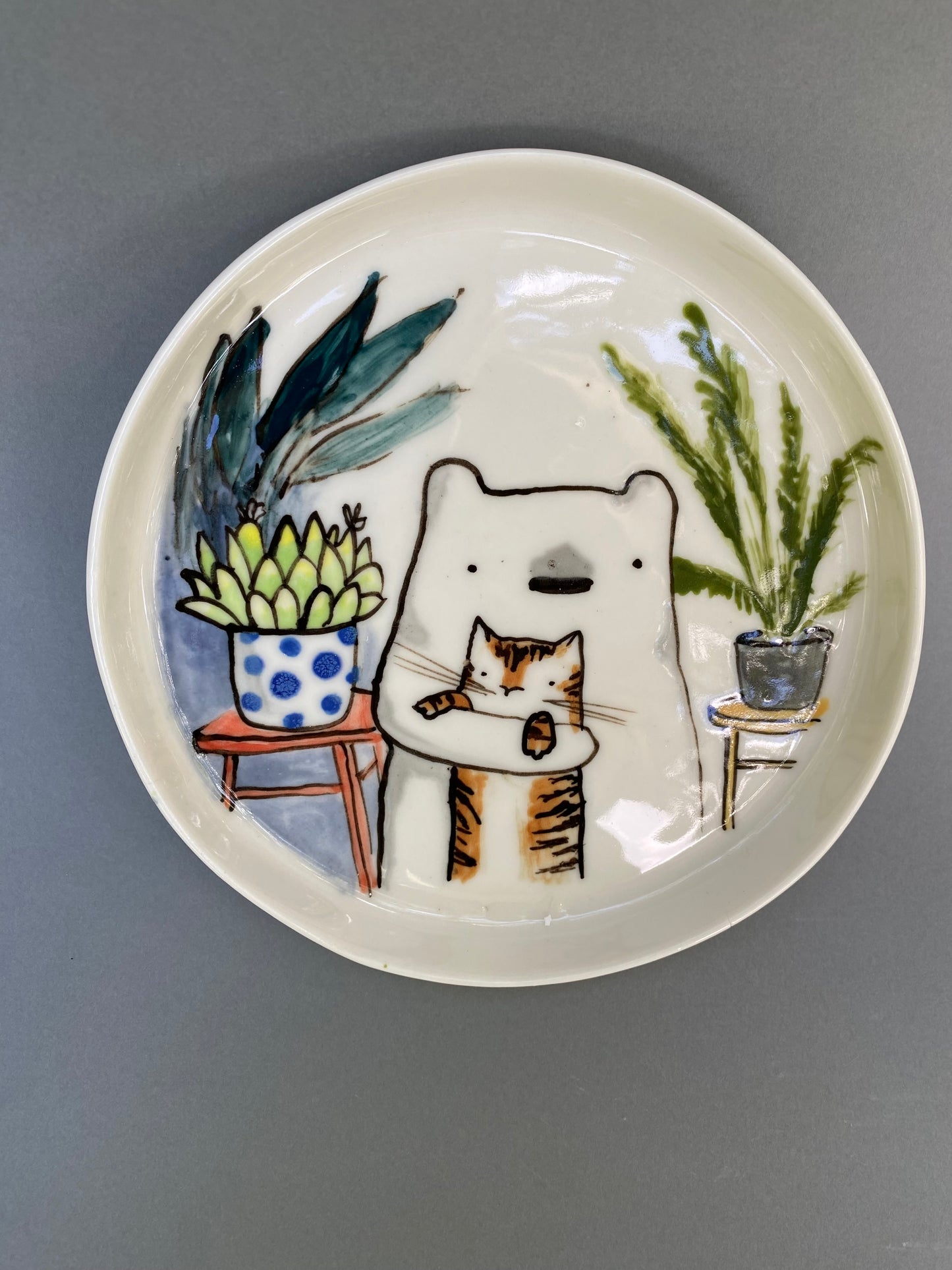 Bear and a tiger cat