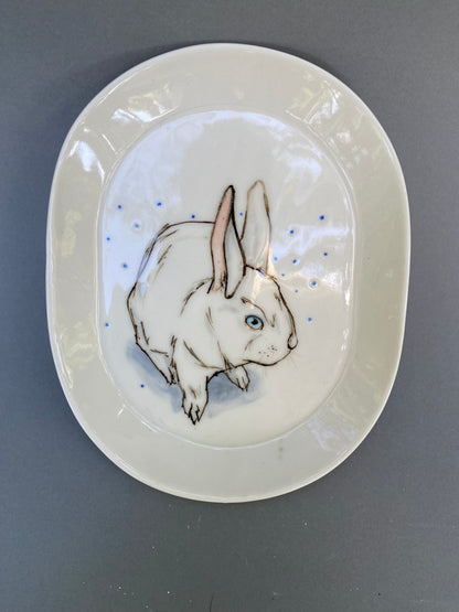 Rabbit
