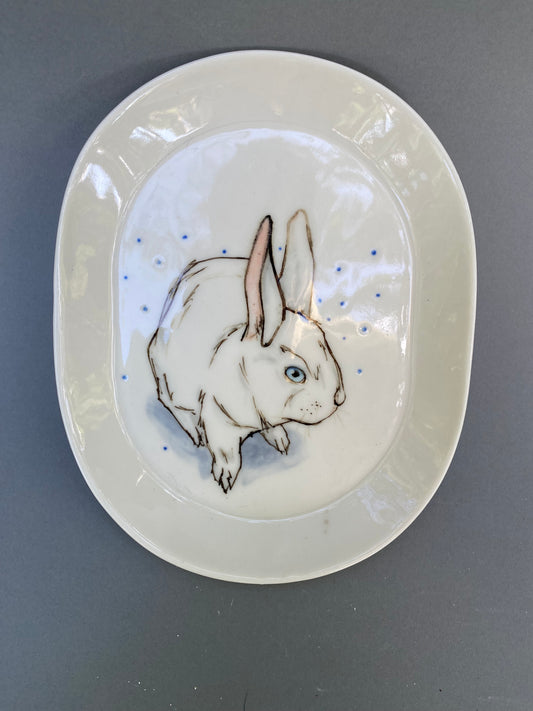 Rabbit
