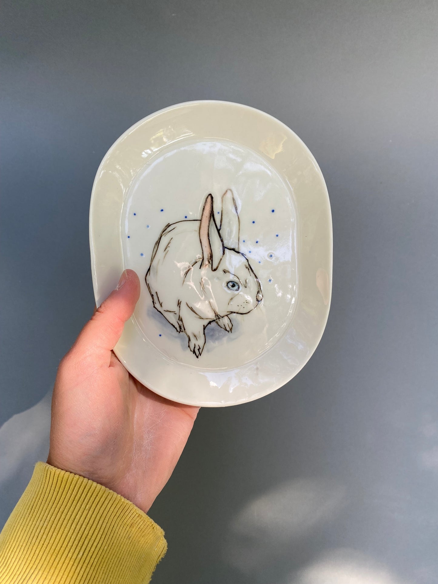 Rabbit