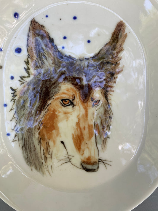 Collie