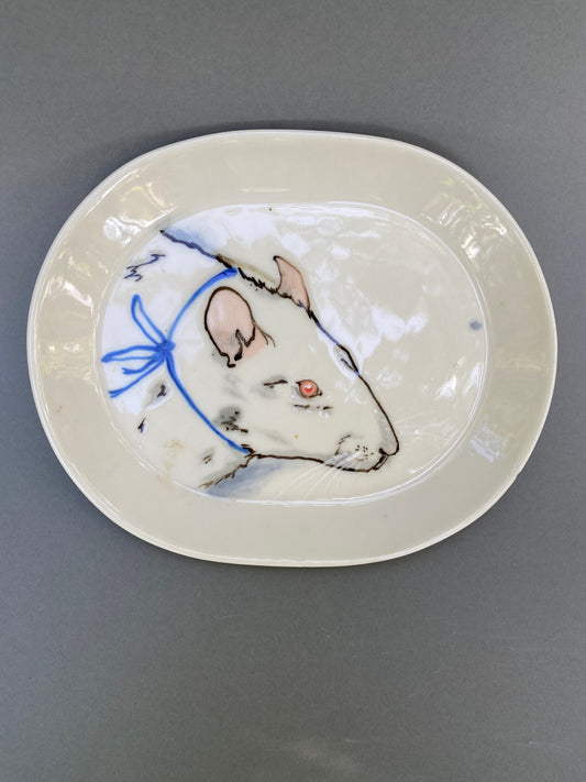 white rat