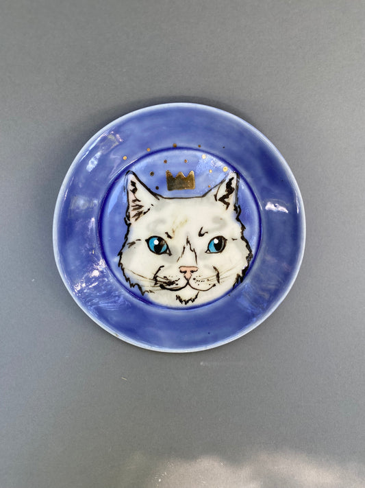 Blue eyed cat king