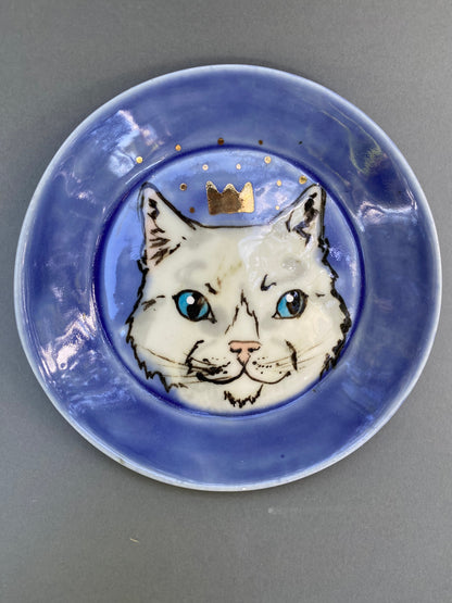 Blue eyed cat king