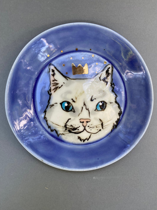 Blue eyed cat king