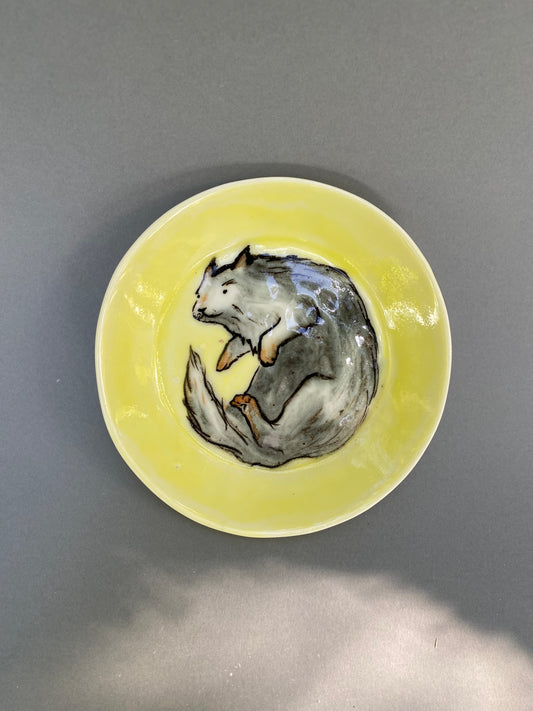 Falling cat
