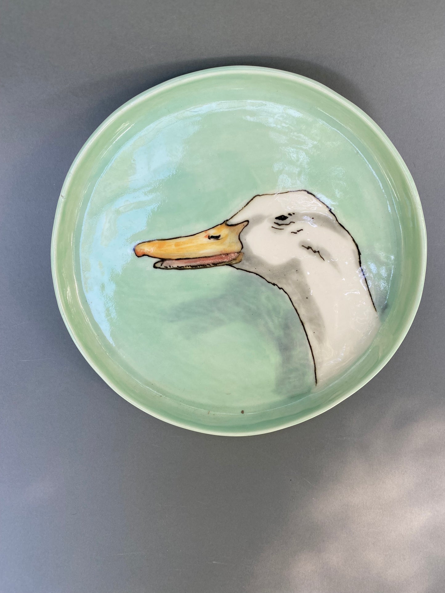 White laughing duck