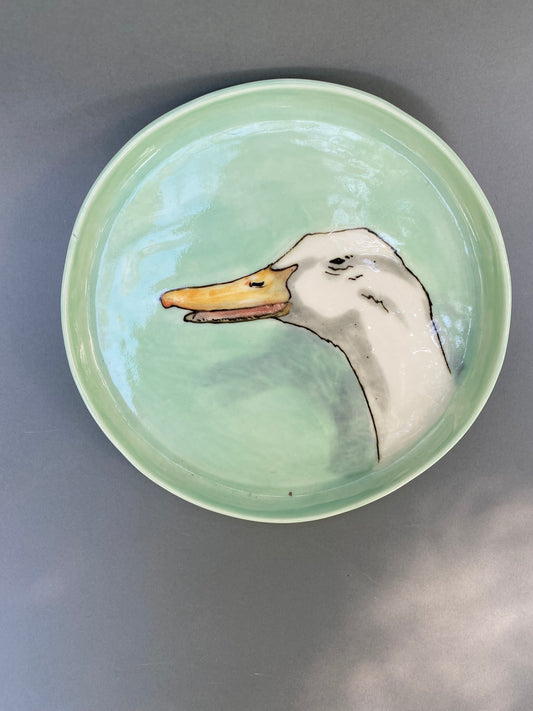 White laughing duck