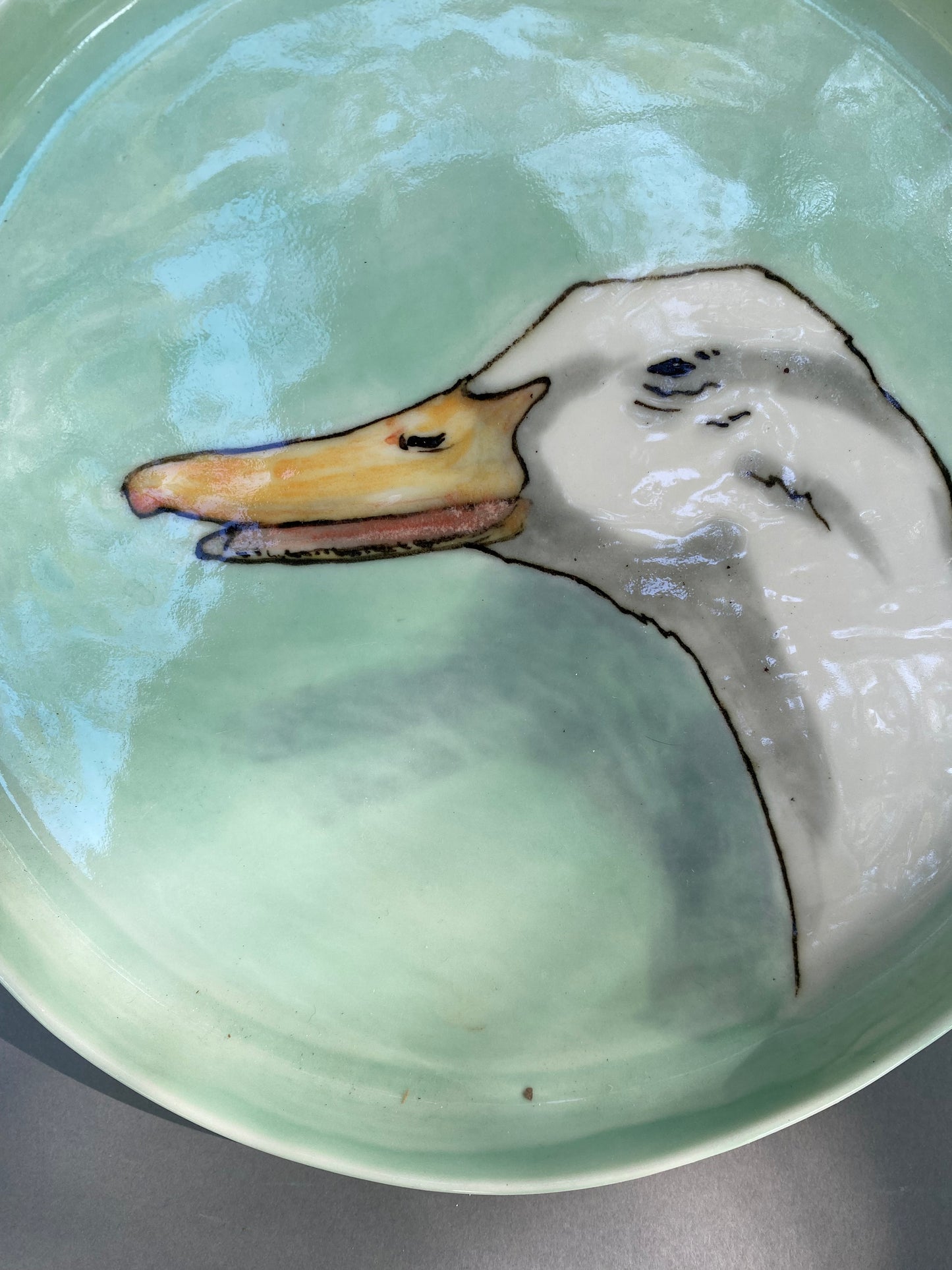 White laughing duck