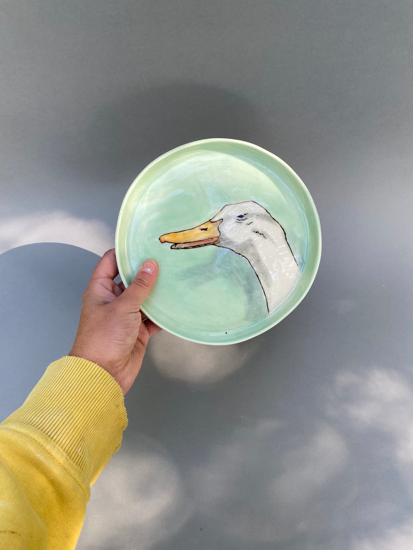 White laughing duck