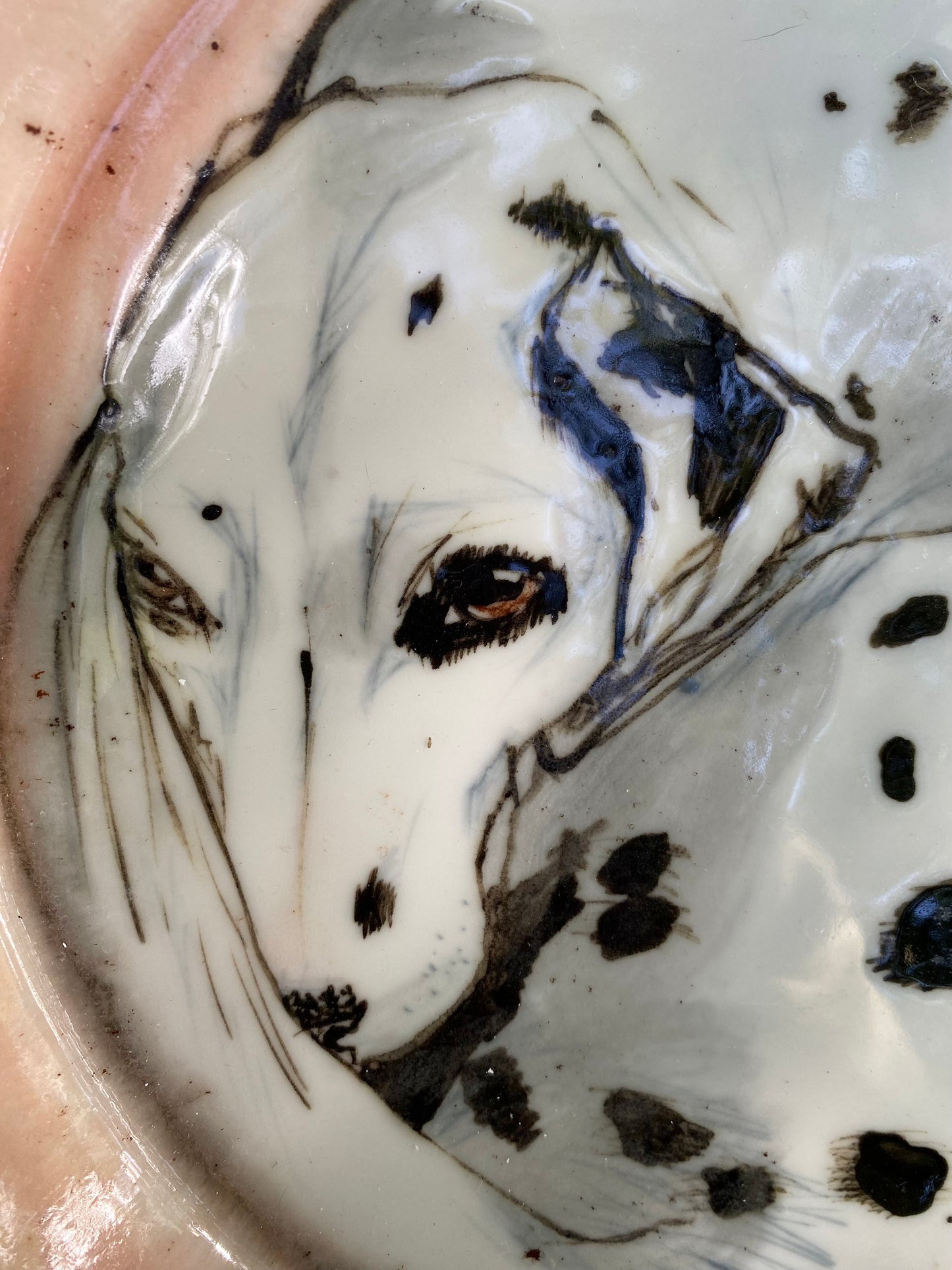 Dalmatian