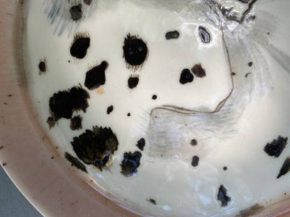 Dalmatian